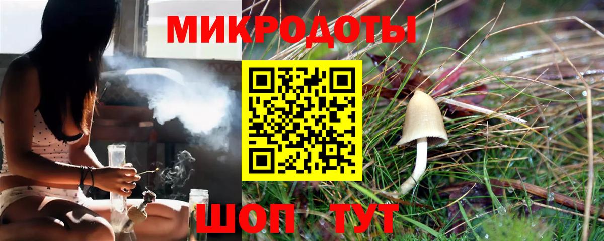 Вышний Волочёк  Псилоцибиновые грибы прущие грибы  Вход с VPN  Галлюциногенные грибы Psilocybe 